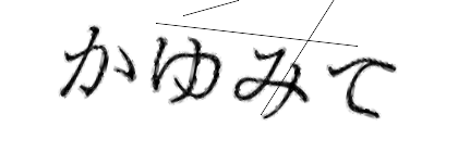 CAPTCHA画像
