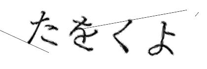 CAPTCHA画像