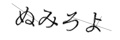 CAPTCHA画像