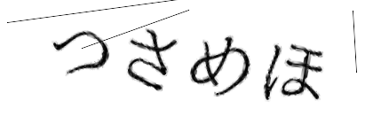 CAPTCHA画像