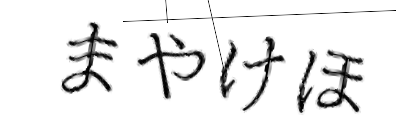 CAPTCHA画像