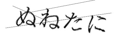 CAPTCHA画像