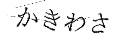 CAPTCHA画像