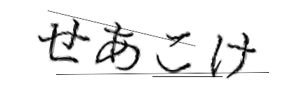 CAPTCHA画像