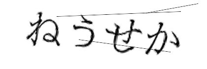 CAPTCHA画像