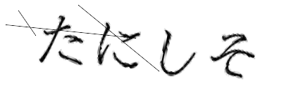 CAPTCHA画像