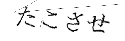 CAPTCHA画像