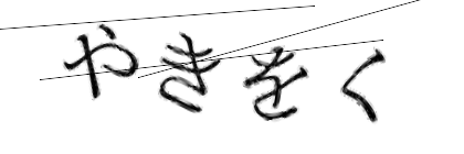 CAPTCHA画像