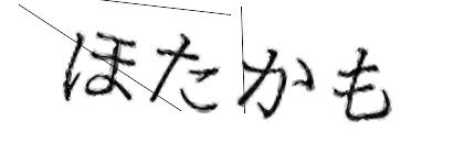 CAPTCHA画像