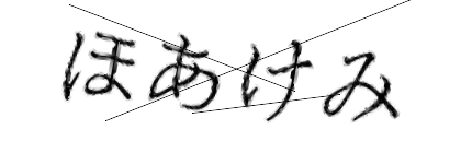 CAPTCHA画像