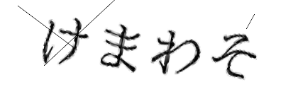 CAPTCHA画像