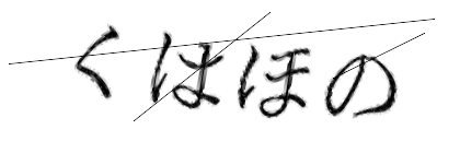 CAPTCHA画像