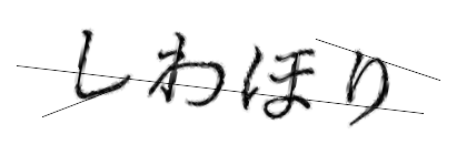 CAPTCHA画像