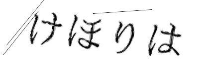CAPTCHA画像