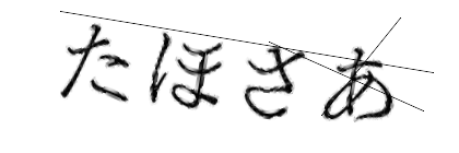 CAPTCHA画像
