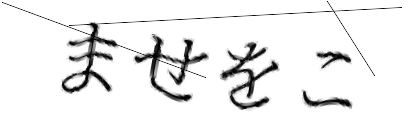 CAPTCHA画像