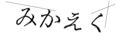 CAPTCHA画像