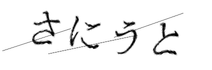 CAPTCHA画像