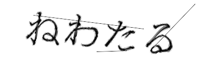 CAPTCHA画像