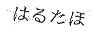 CAPTCHA画像