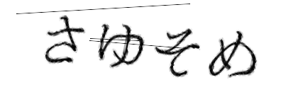 CAPTCHA画像