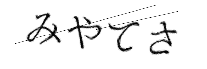 CAPTCHA画像