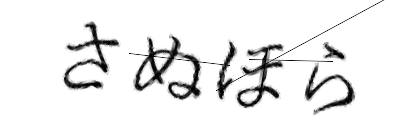CAPTCHA画像