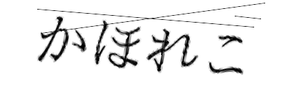 CAPTCHA画像