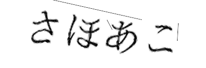 CAPTCHA画像