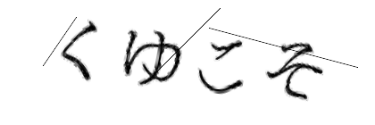 CAPTCHA画像