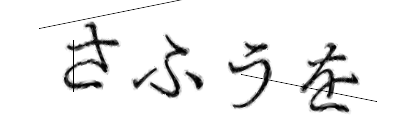 CAPTCHA画像