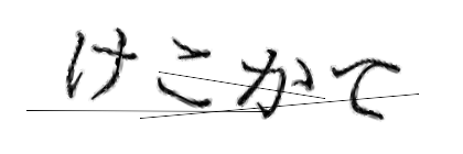 CAPTCHA画像