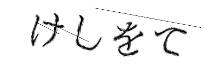 CAPTCHA画像