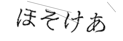 CAPTCHA画像