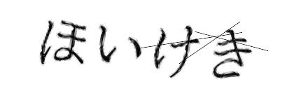 CAPTCHA画像