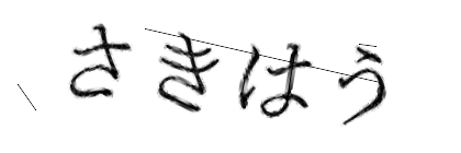 CAPTCHA画像