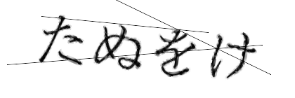 CAPTCHA画像