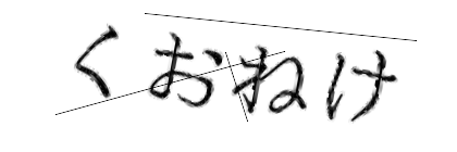 CAPTCHA画像