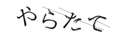 CAPTCHA画像