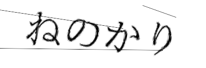 CAPTCHA画像