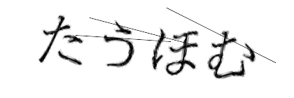 CAPTCHA画像