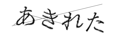 CAPTCHA画像