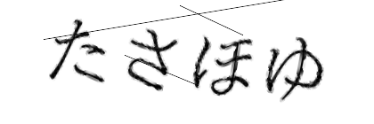 CAPTCHA画像