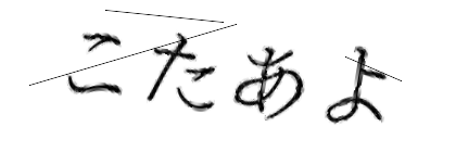CAPTCHA画像