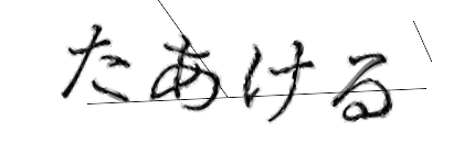 CAPTCHA画像