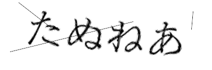 CAPTCHA画像