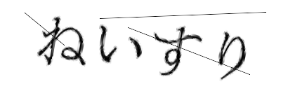 CAPTCHA画像