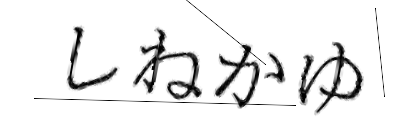 CAPTCHA画像