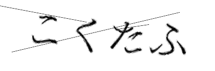 CAPTCHA画像