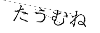 CAPTCHA画像